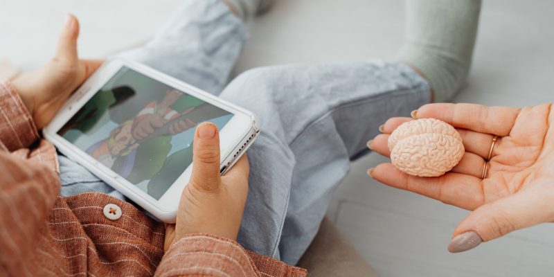 Imágen Ilustrativa de Cerebro